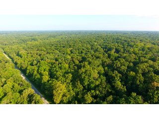 TRACT 77 - ILLINOIS LAND AUCTION - 4,810+/- ACRES OFFERED IN 85 TRACTS IN FRANKLIN, WILLIAMSON, HAMILTON & SALINE COUNTIES, ILLINOIS